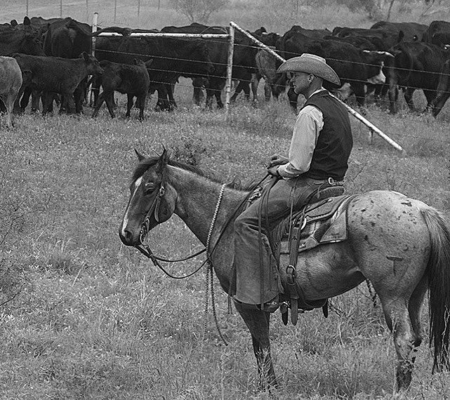 JACKSON AUDIO “BROKEN ARROW” Quentin Marburger (Bullwhip) and his horse Popsicle.