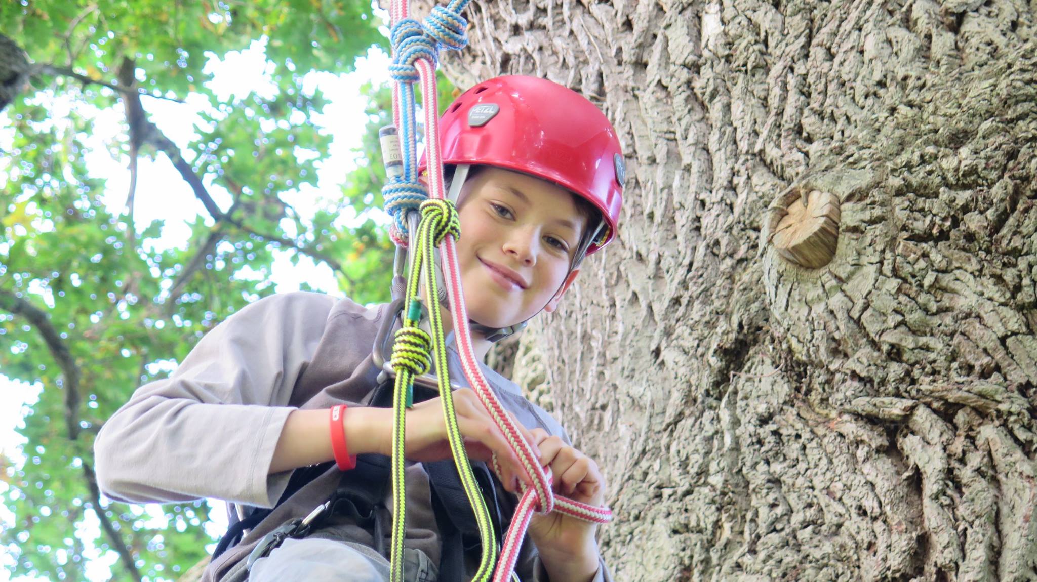 The sun's come out and there's... - Goodleaf Tree Climbing