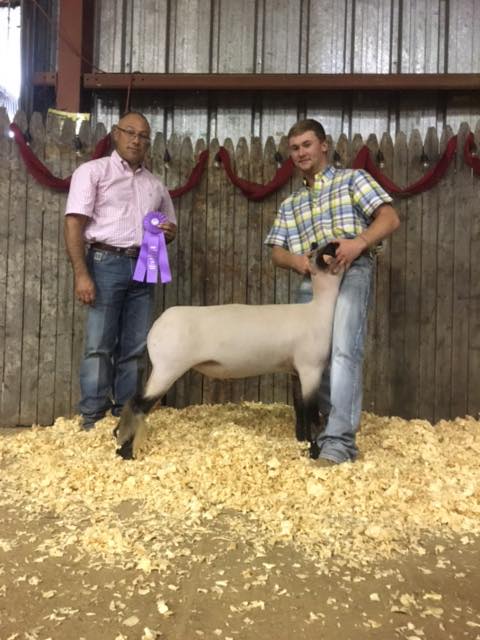 Show-Rite - Grand Champion Wether Washington County Fair, AR Shown by ...