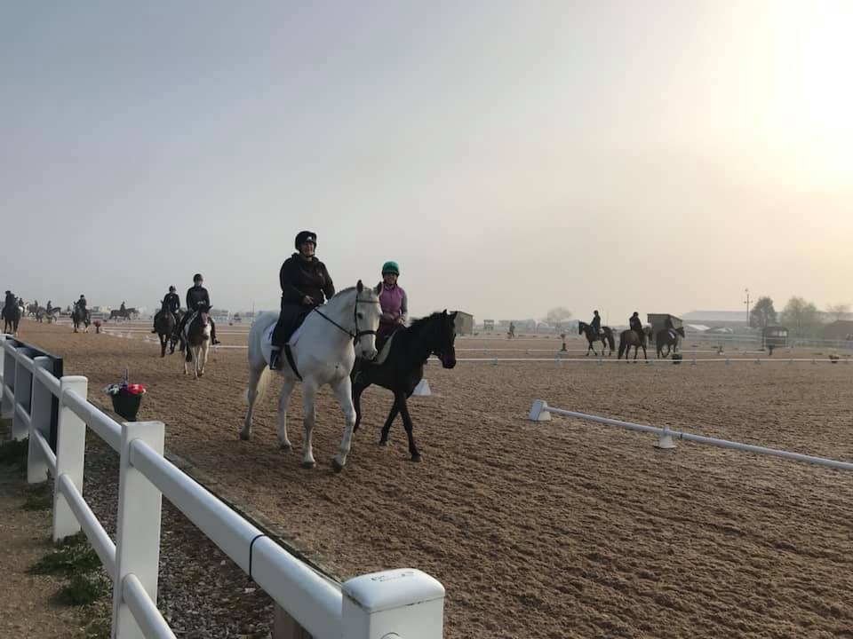Lakes Riding Club - Early morning Arena walk | Facebook