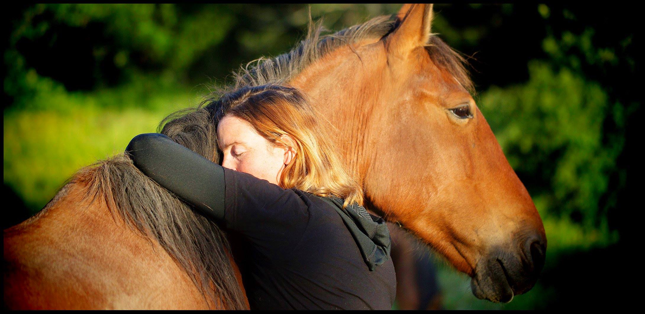 Flag Ranch: Home of The Flag Foundation for Horse/Human Partnership ...