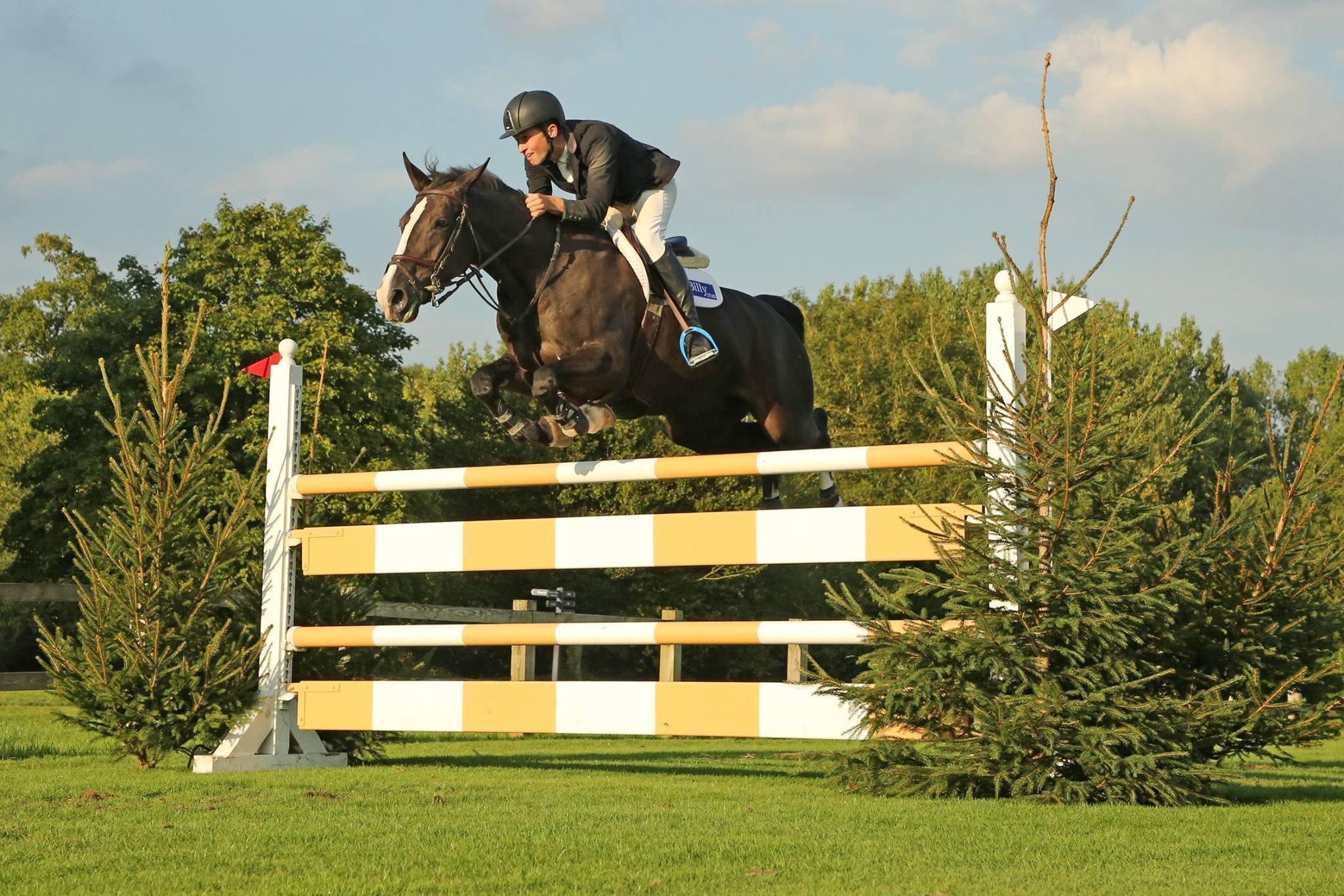 The All... - The All England Jumping Course, Hickstead | Facebook