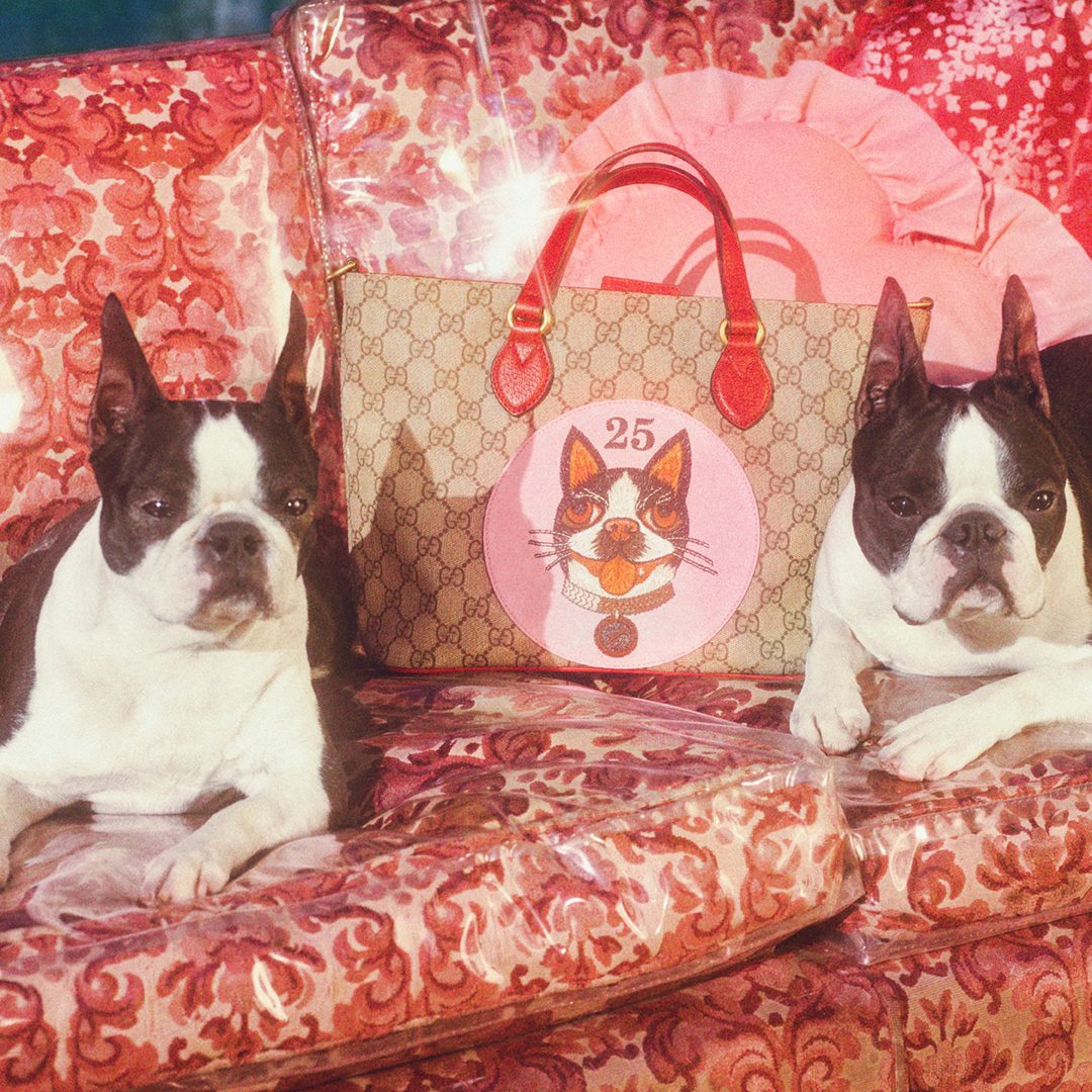 Celebrating the Year of the Dog, with a special Gucci collection