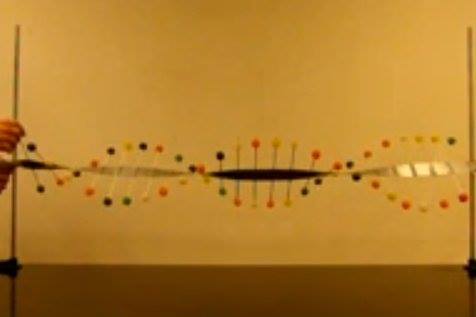 Standing Wave Demonstration With... - The Physics Classroom