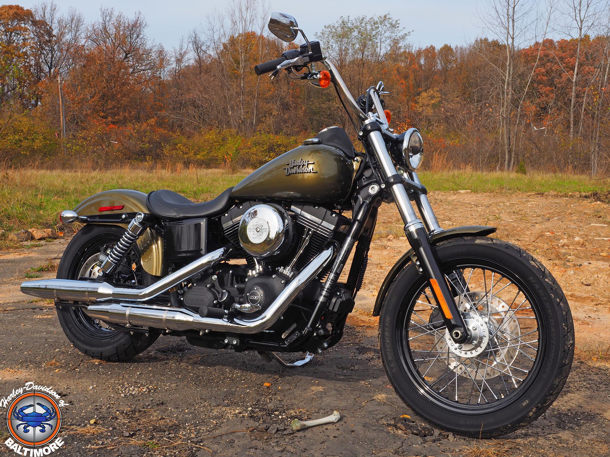 We have a few of these IN STOCK !!!! Harley dyna models in raw