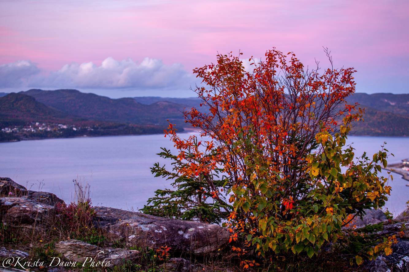 Some stunning fall colours... - CBC Newfoundland and Labrador
