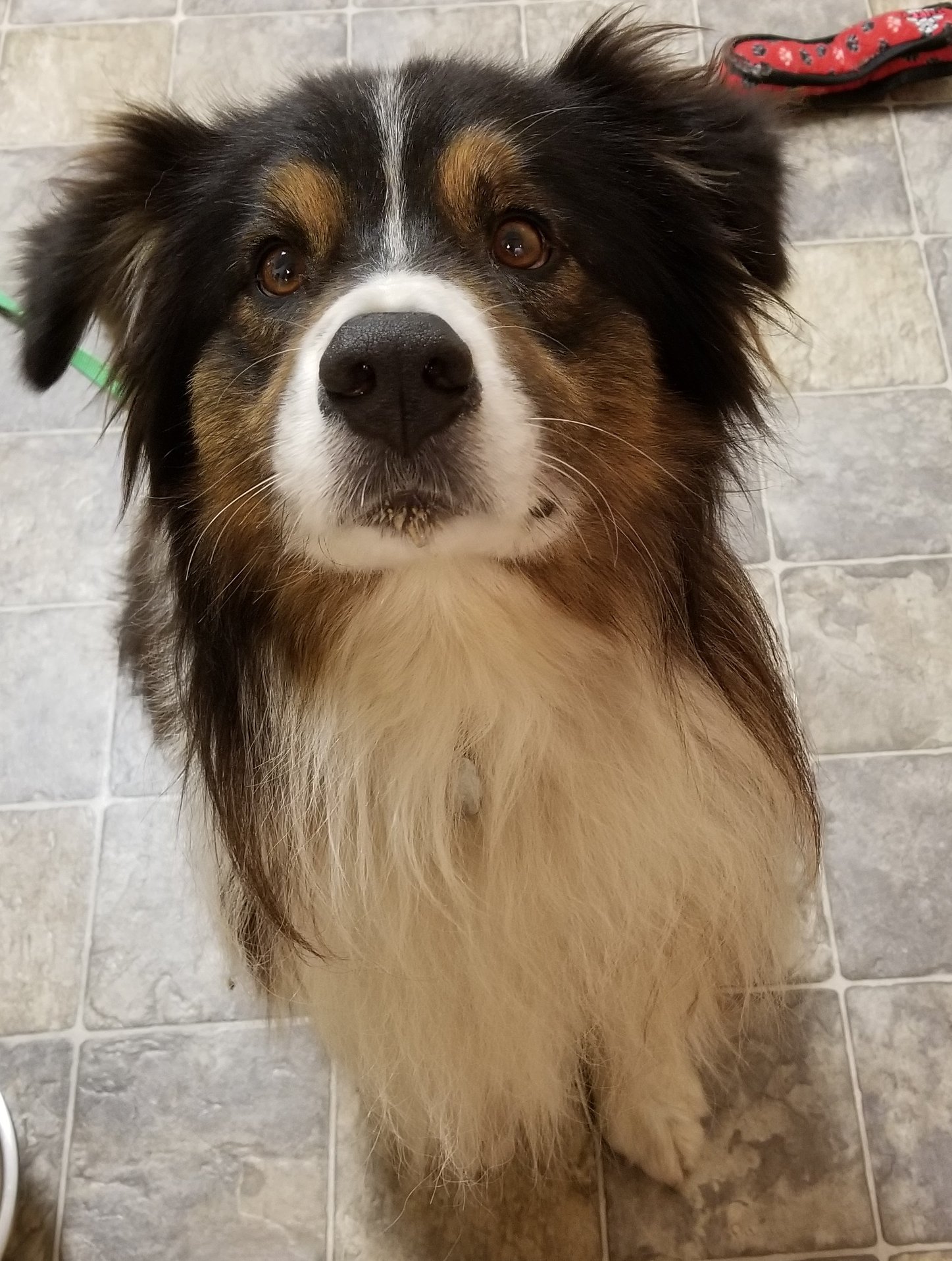 This little man found near 9 mile prairie, Johnsrud park. We are