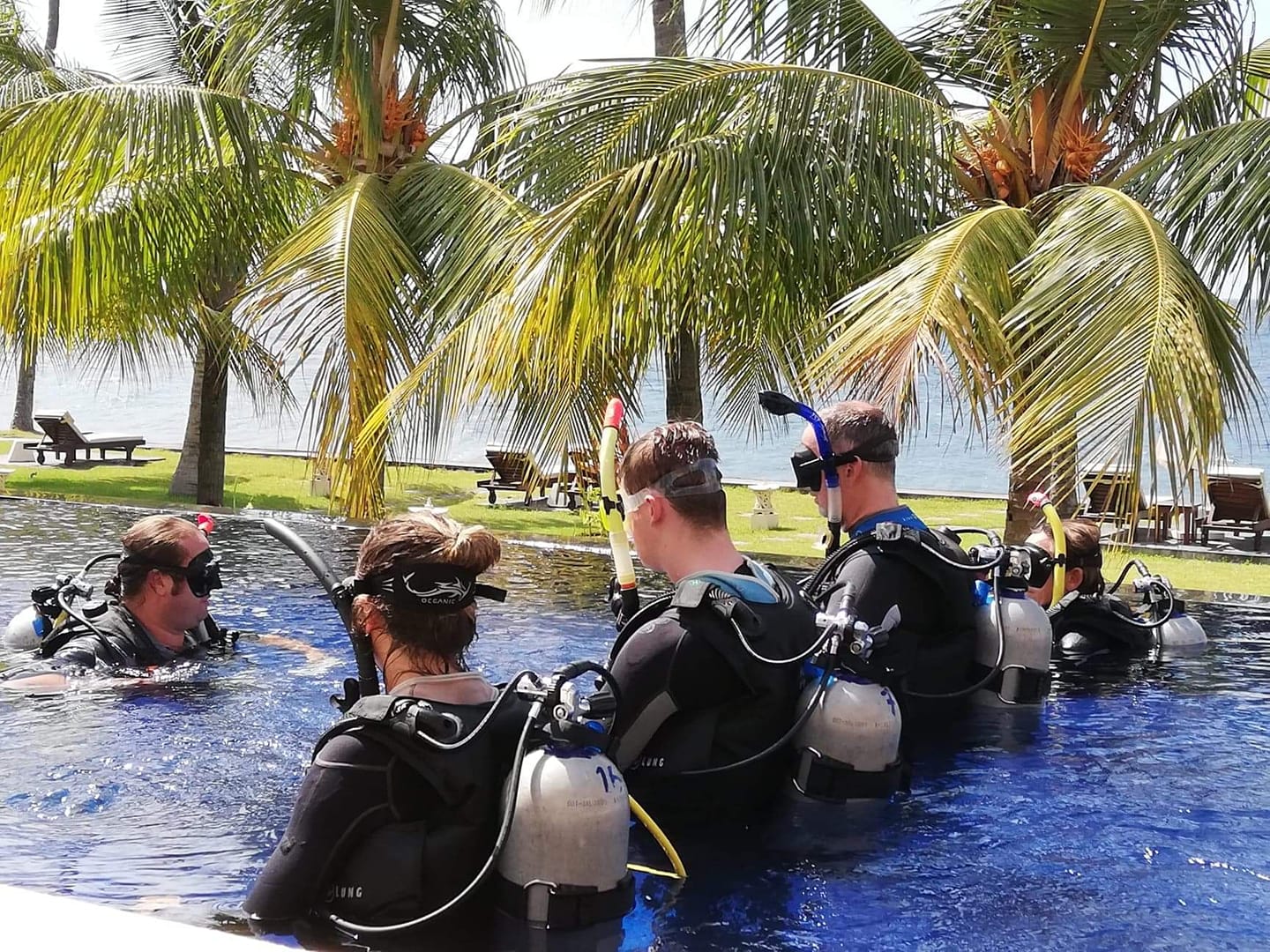 Its a Family affair 😍 Many... - Kubu Indah Dive & Spa Resort