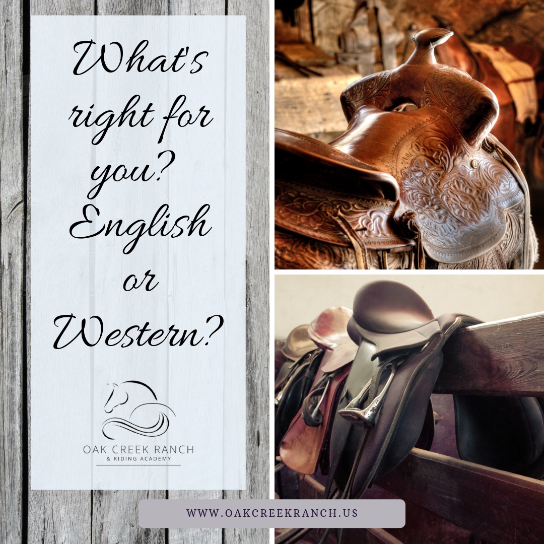 Oak - Wondering if Western or English riding lessons are right for you ...