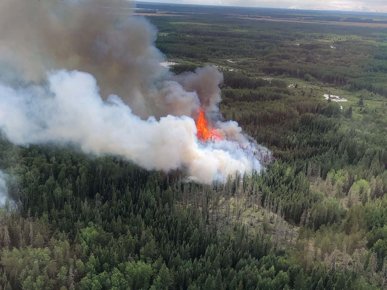 Alberta Wildfire - UPDATE: NEWER INFORMATION REGARDING THIS WILDFIRE ...