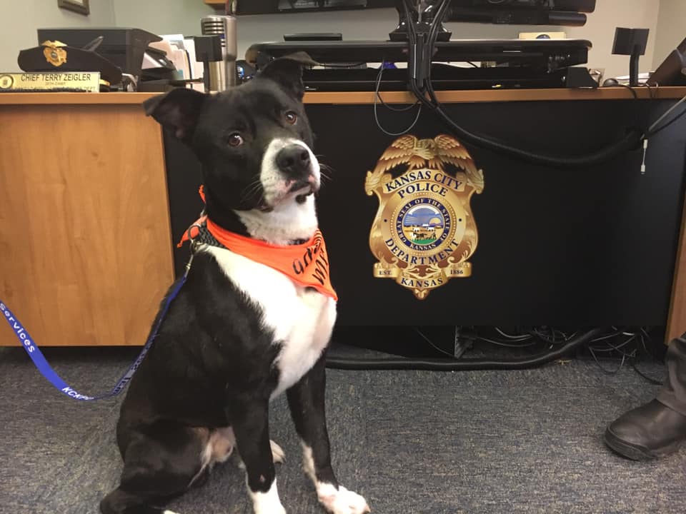 Our... - Kansas City Kansas Police Department - KCKPD | Facebook