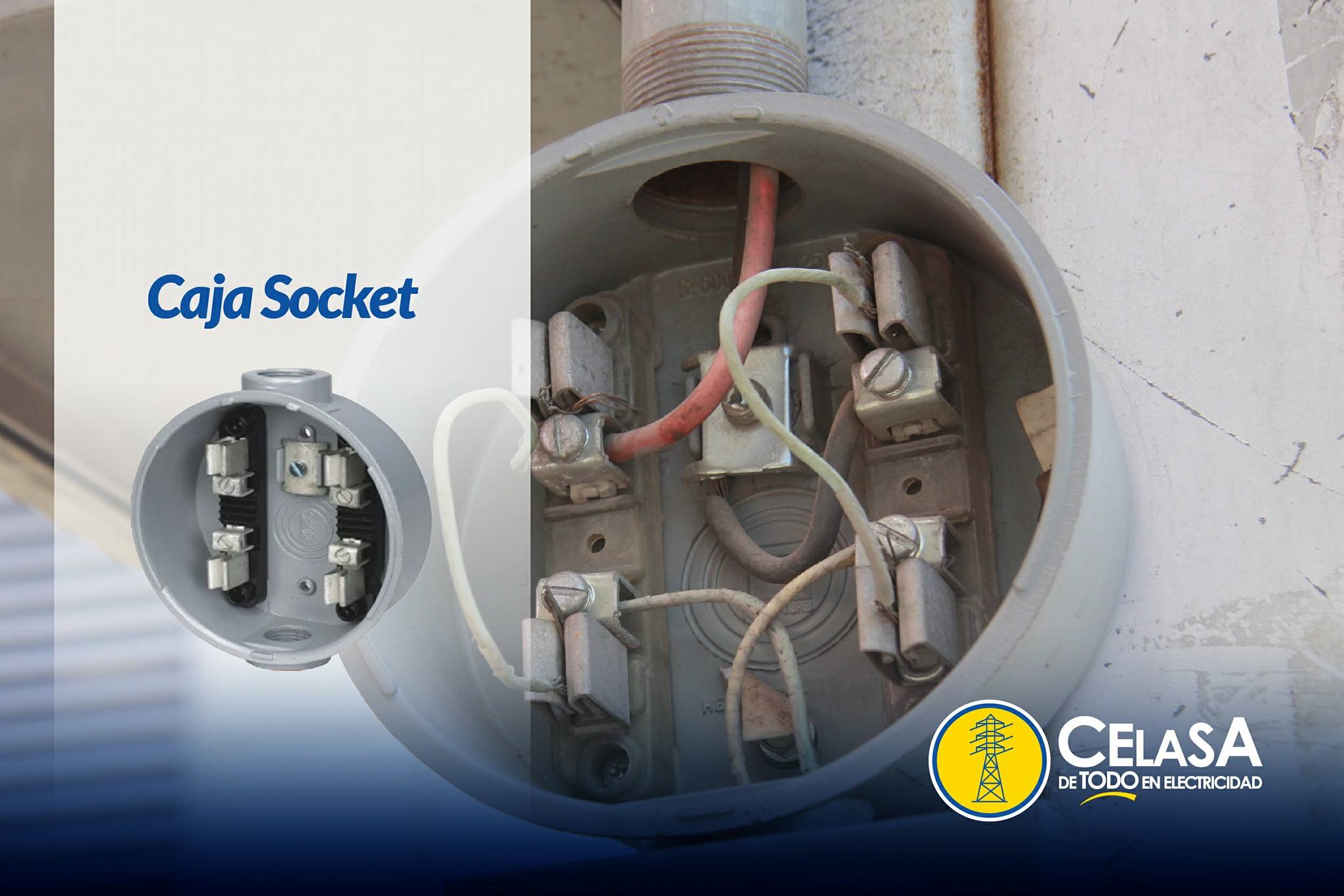 Celasa, De todo en Electricidad - La caja socket es el accesorio ...