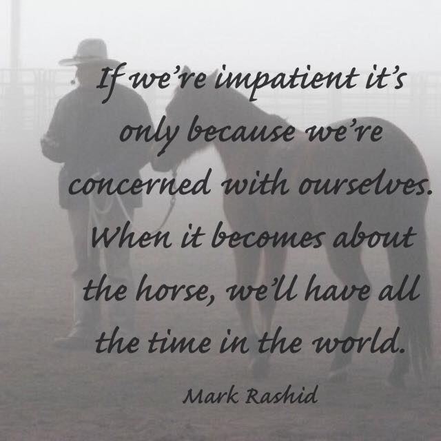 Considering the... - Considering the Horse, Mark Rashid