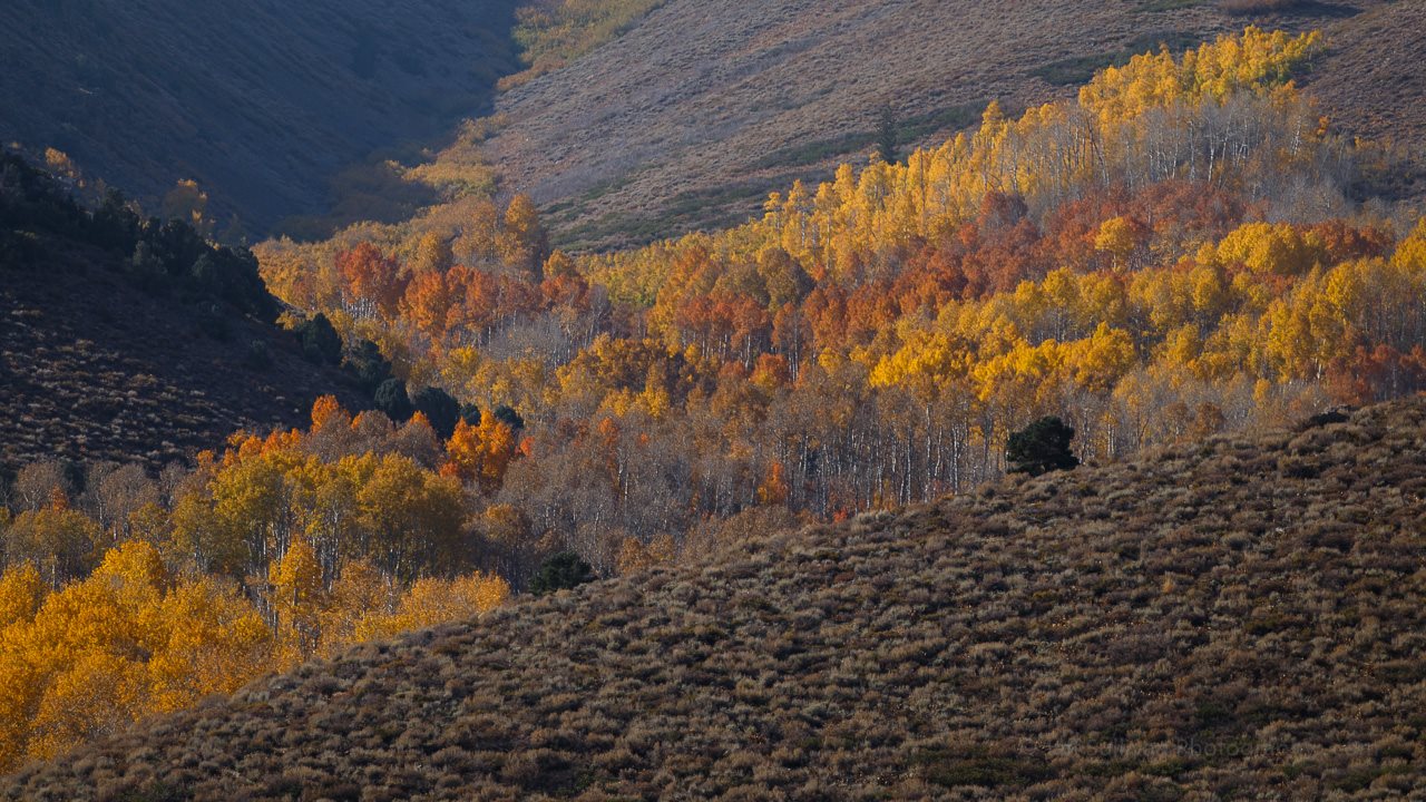 Eastern Sierra Fall Colors | Pretty Week in the Eastern Sierras 🍁 ...