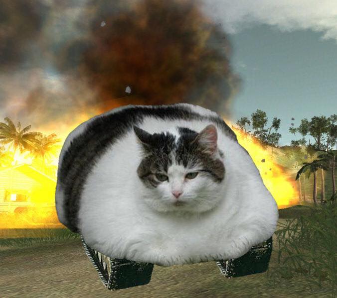 Original Fat Cat's