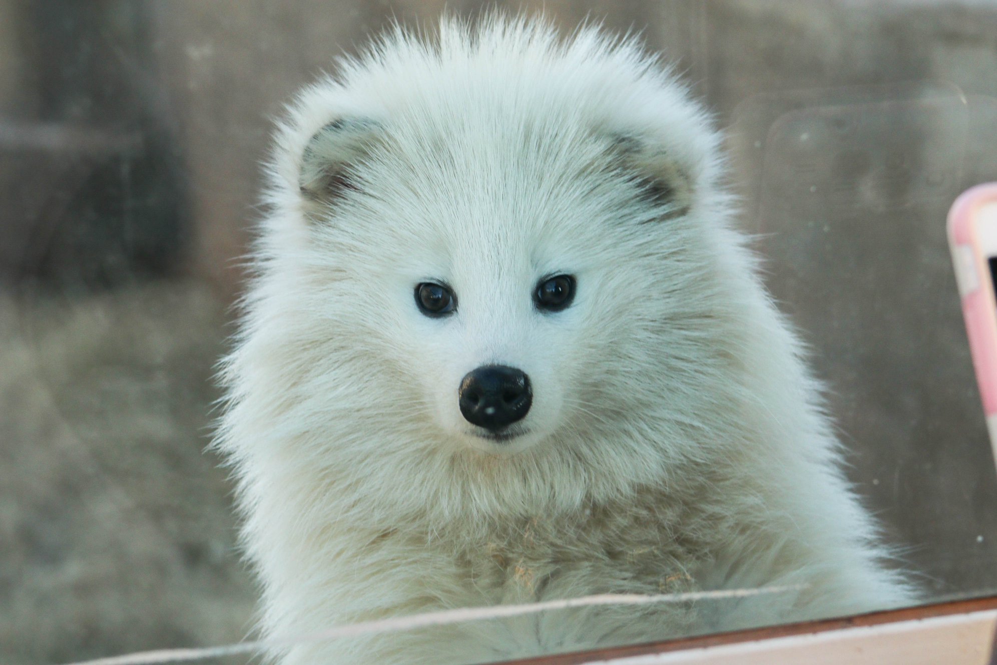 Oklahoma City Zoo and Botanical Garden - The OKC Zoo is one of three ...