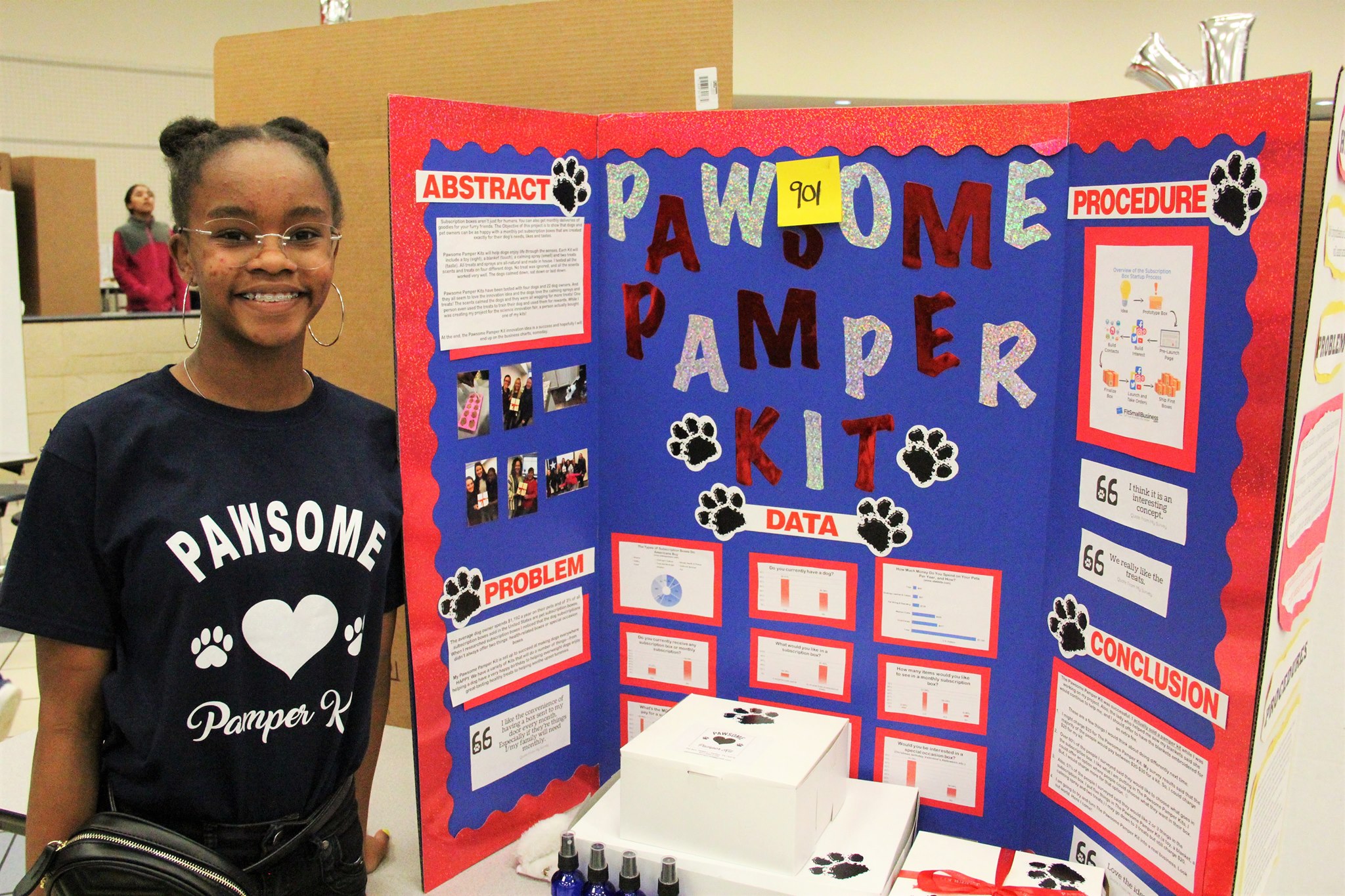 Solar System Science Fair Displays