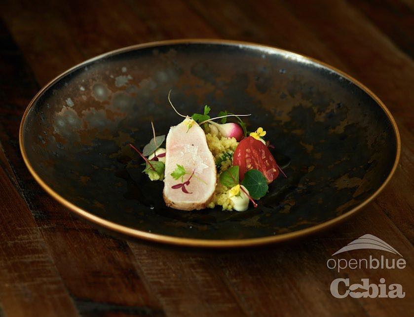 Open Blue Cobia - Did you know that by choosing to eat more fish like ...