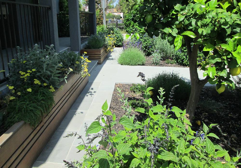 Taproot Garden Design - UPDATE: April 25, 2018 - New Ipe wood raised ...