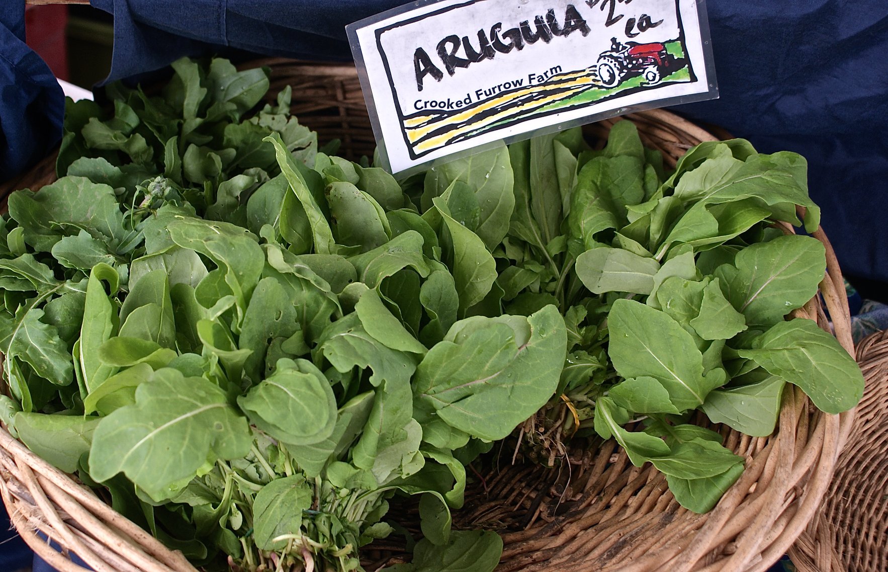 arugula glutathione Benefits of for health and nutrition GLOW Peptide Nasal Spray