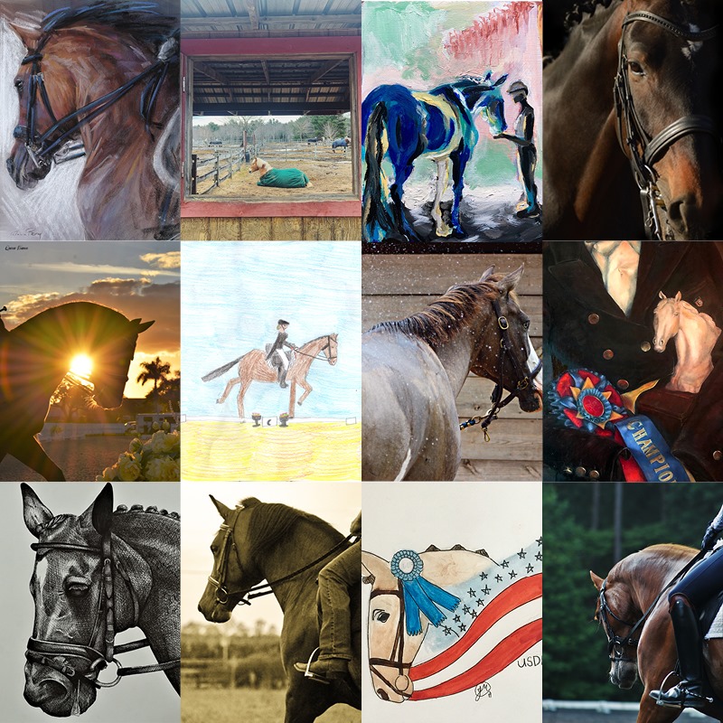 Congratul... - United States Dressage Federation Official Page | Facebook