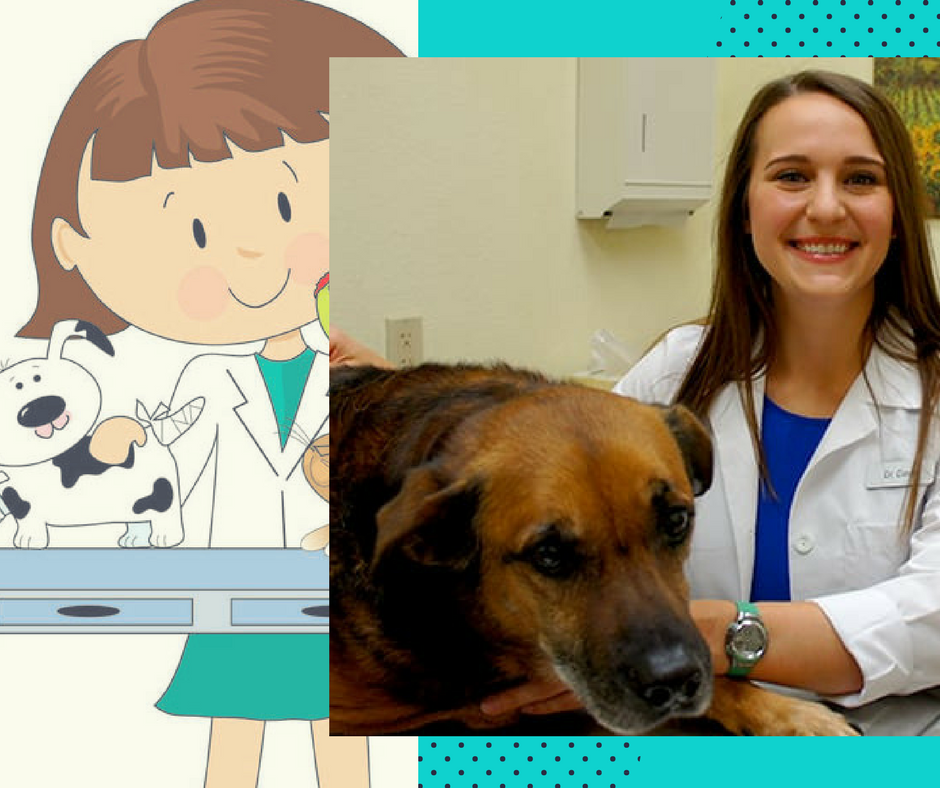 Doctor Spotlight! Meet Dr.... - Valley Ranch Animal Hospital | Facebook