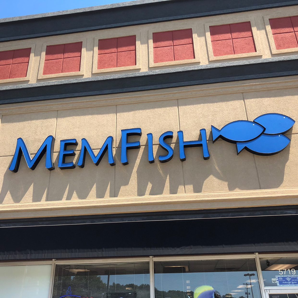 MemFish - MemFish In May! Attention....... Attention...... Don’t forget ...