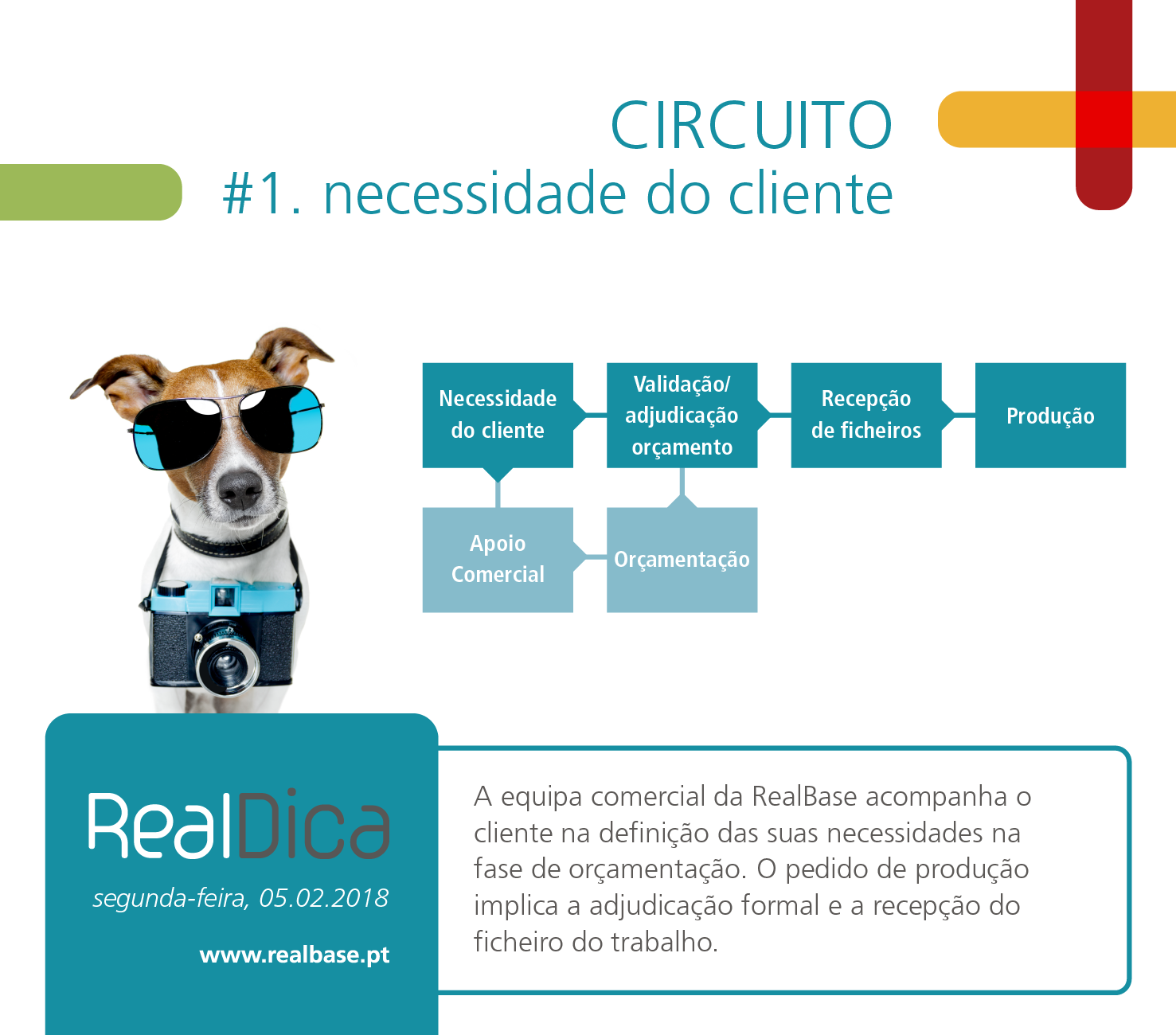 REALBASE - A compreensão dos processos internos sob os...