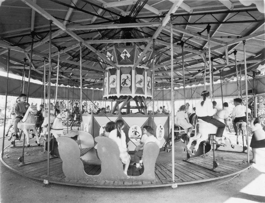 Perth Zoo - Did you know the Zoo’s carousel first started operating in ...