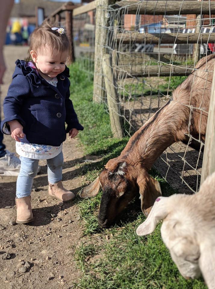 Bluebell Dairy - 🎉 Visitor Photo of the Week! 🎉 We love...