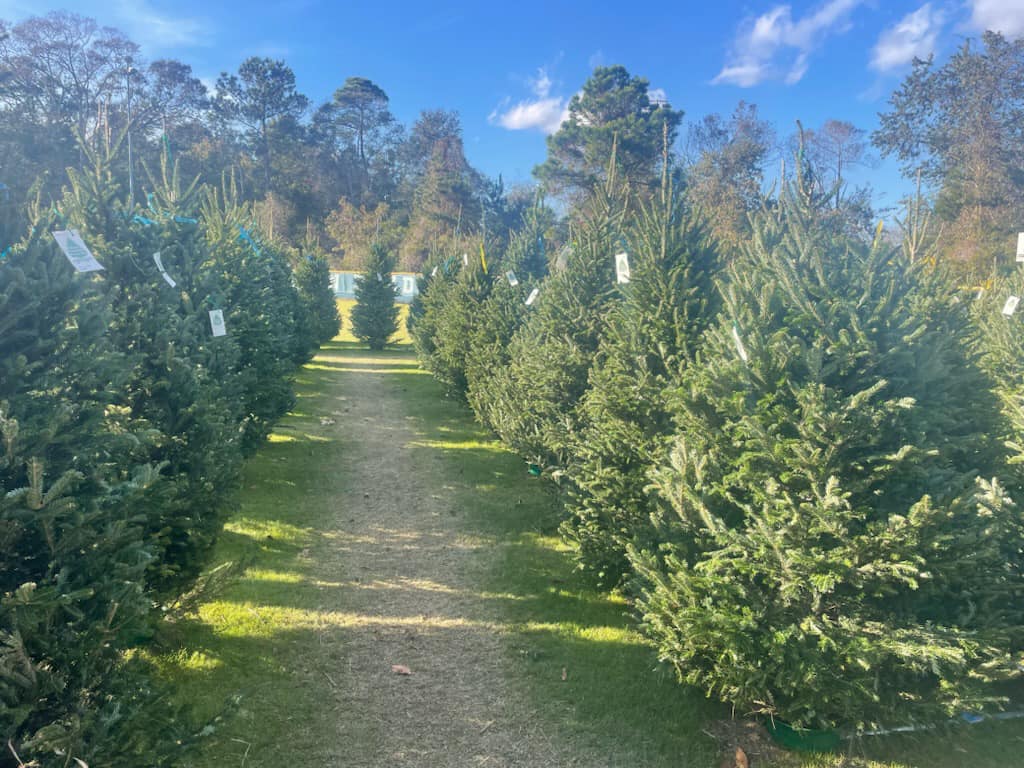 Sugar Mountain Farms | Hilton Head Island SC