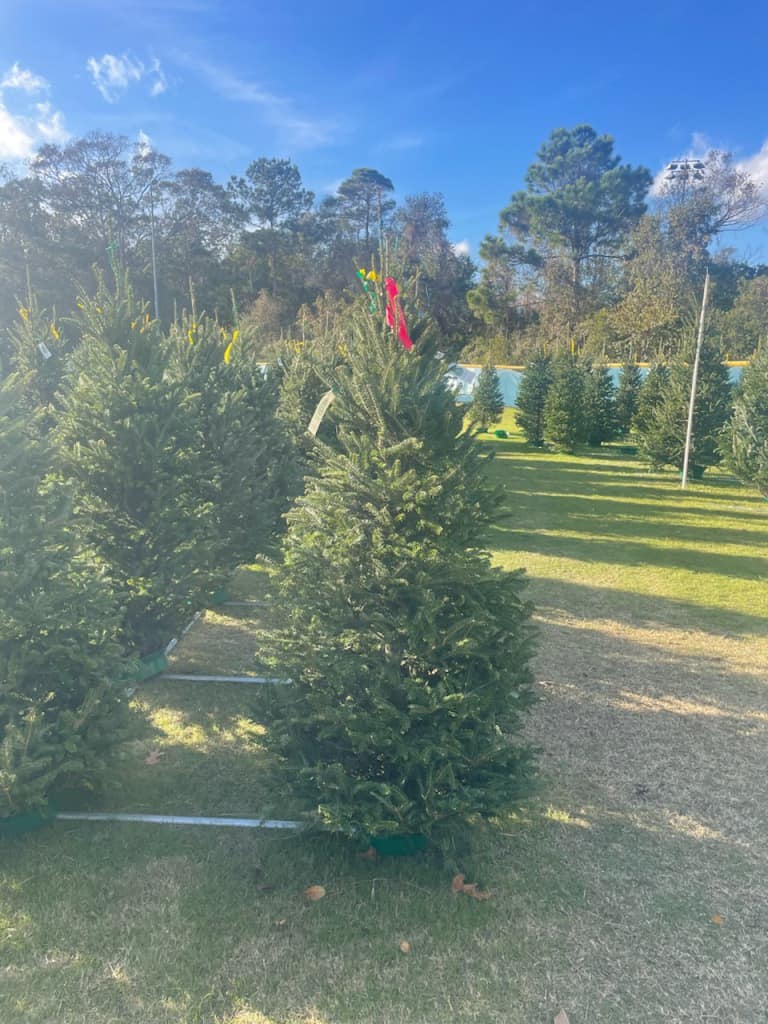 Sugar Mountain Farms | Hilton Head Island SC