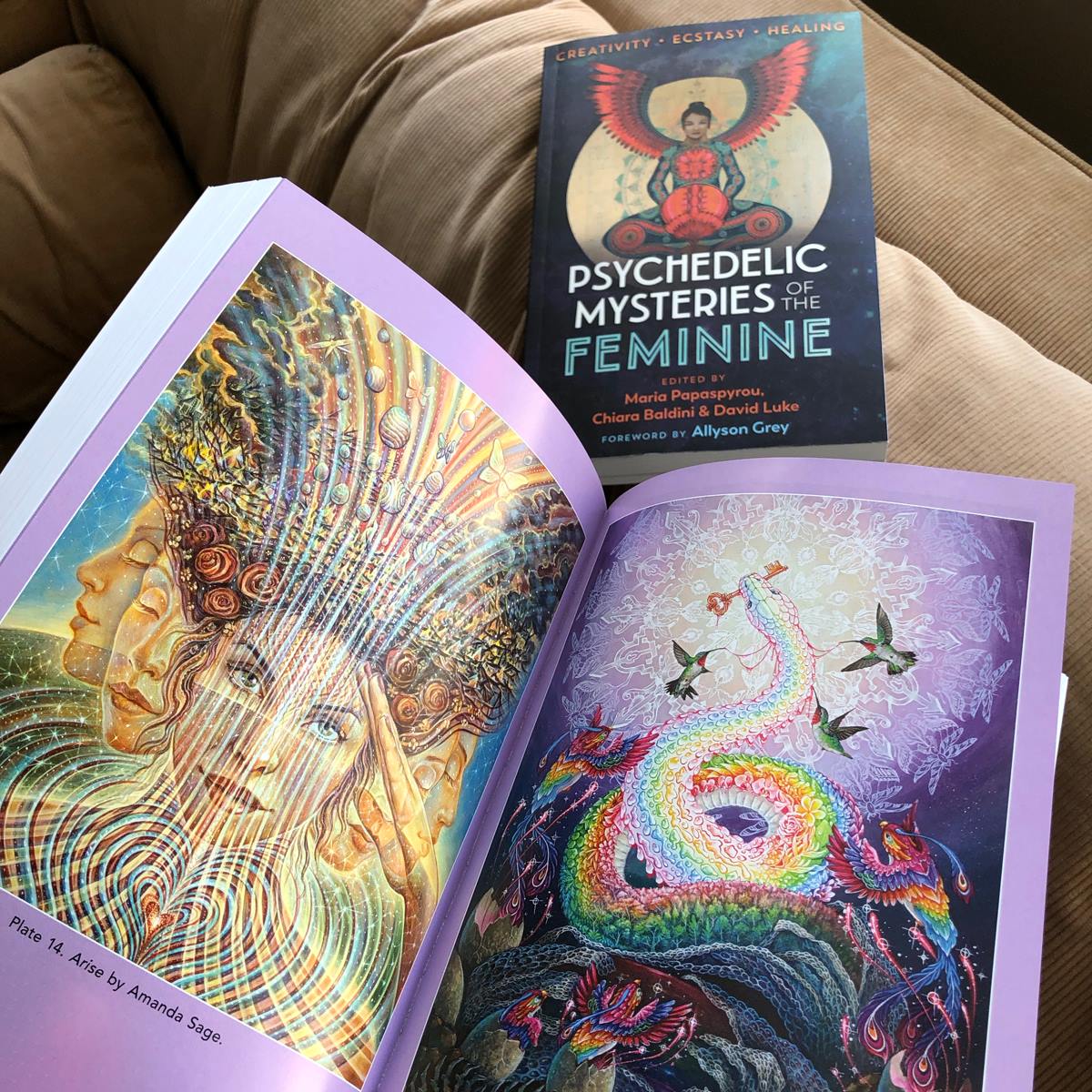 Inner Traditions Bear Co Connect With Cosmic Feminine Consciousness And Unearth Your Shamanic Roots With Psychedelic Mysteries Of The Feminine Http Bit Ly Psychedelicmysteriesofthefeminine Psychedelics Feminine Consciousness Goddess