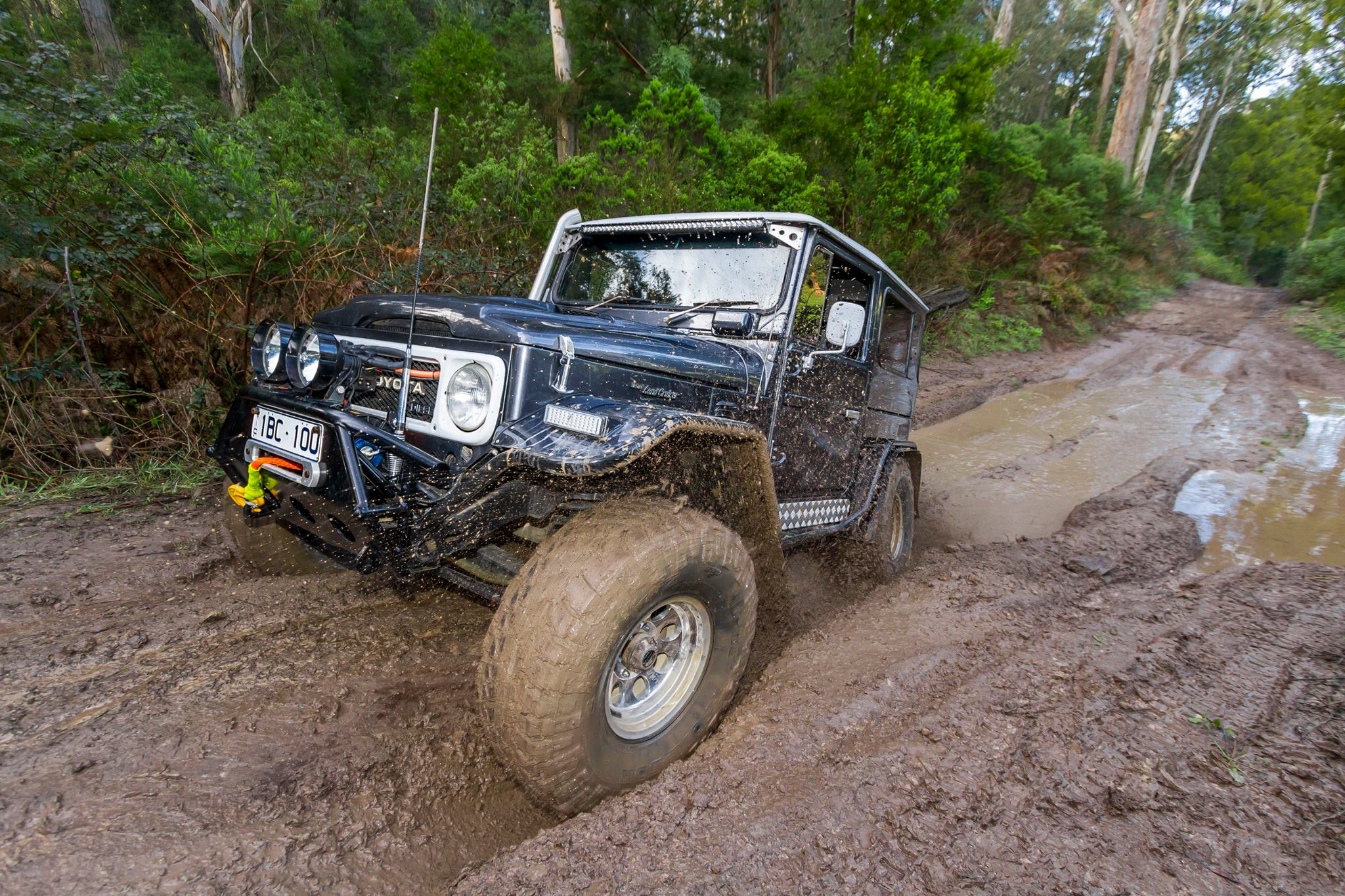 4wd Action Shorty