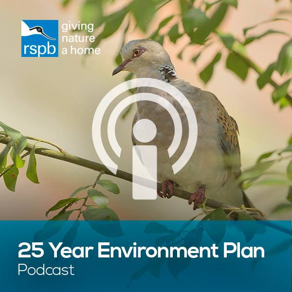 RSPB - Listen up, there's a new #podcast in town! This month, is the ...