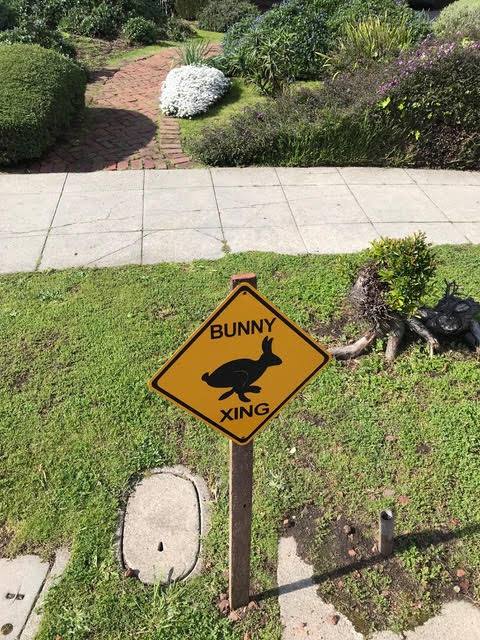 Berkeleyside - More from the community! Cuteness overload: 