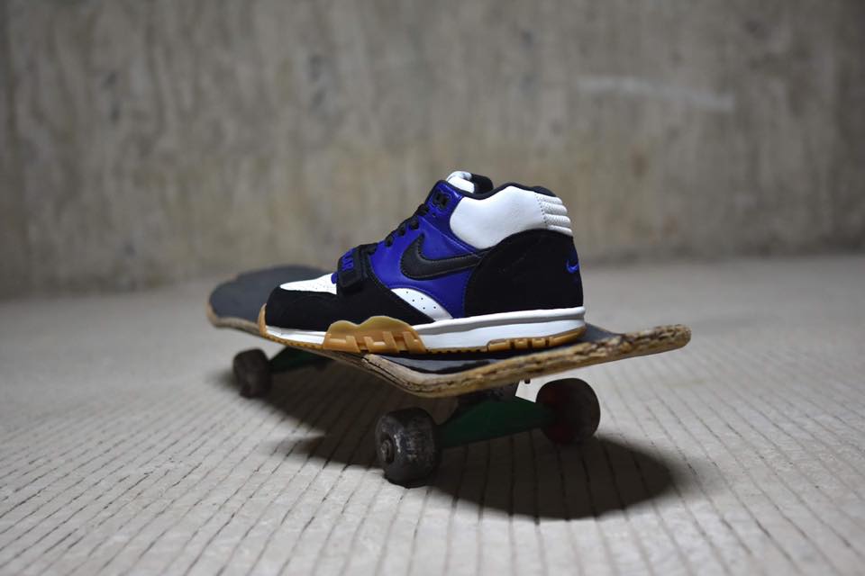 Polar Skate x Nike SB Air Trainer 1