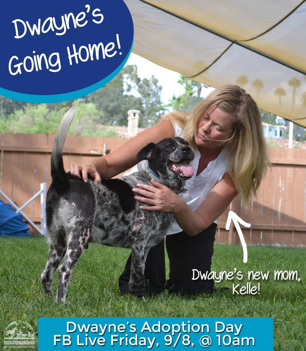 Helen Woodward Animal Center - #TeamDwayne, we have a very special ...