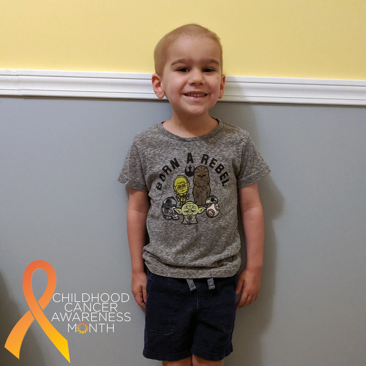 Meet Logan, he is... - National Pediatric Cancer Foundation | Facebook