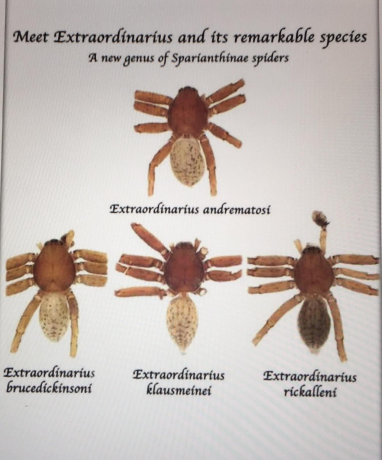 They named a New Species after me . that's a very Special
