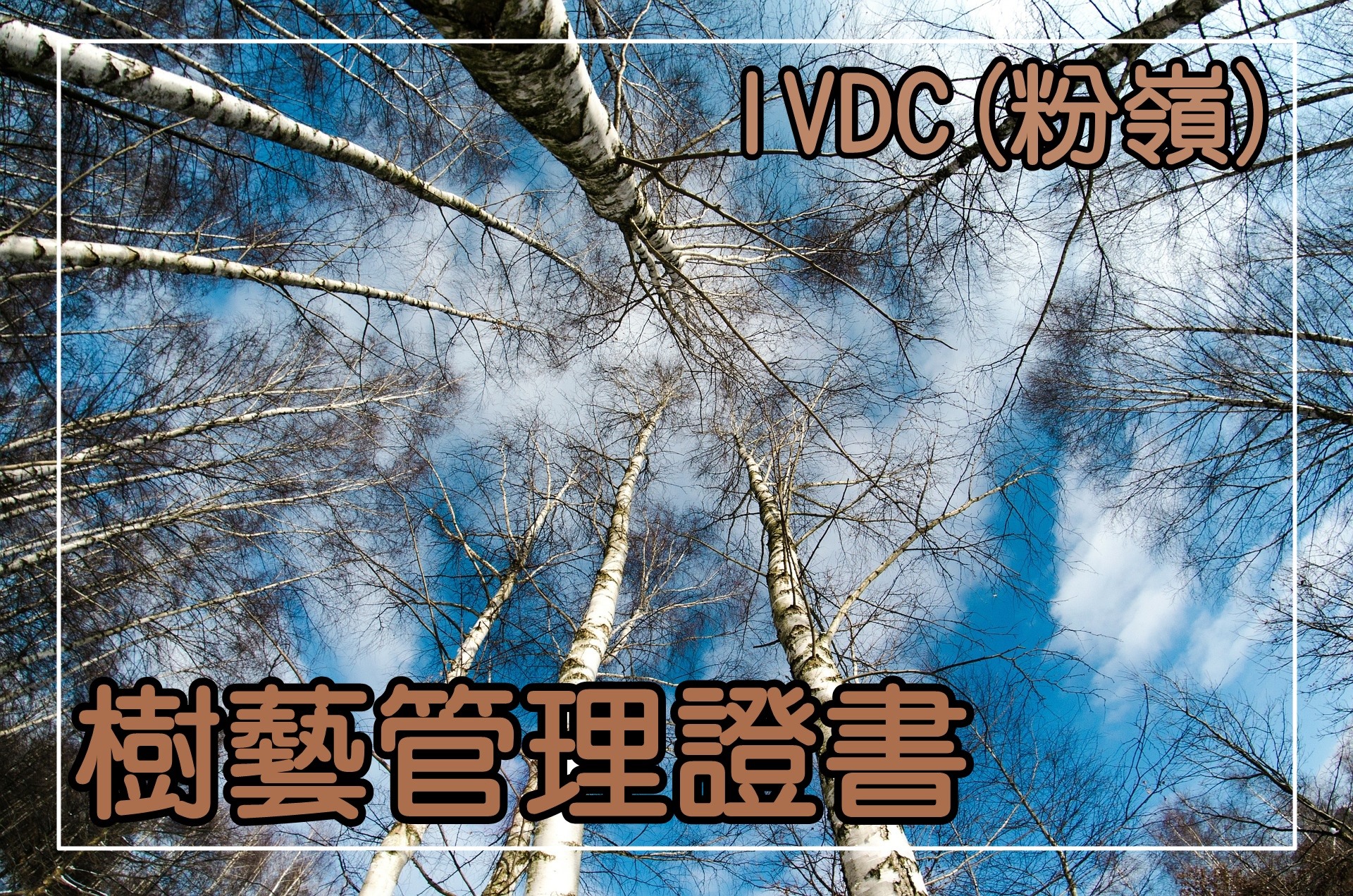 IVDC 匯縱專業發展中心 - 【#樹藝 #樹木攀爬】 講到爬樹，係唔係只要身手敏捷就好呢?...