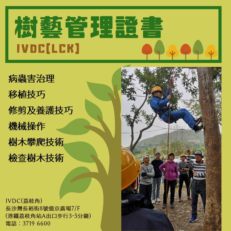 IVDC 匯縱專業發展中心 - 認識樹木管理，由IVDC(荔枝角)開始！ 🌴【樹藝管理證書】🌳 📍風險評估...