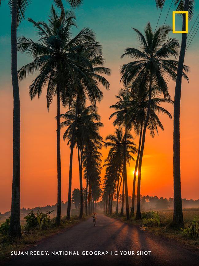 Your Shot photographer Sujan Reddy... - National Geographic