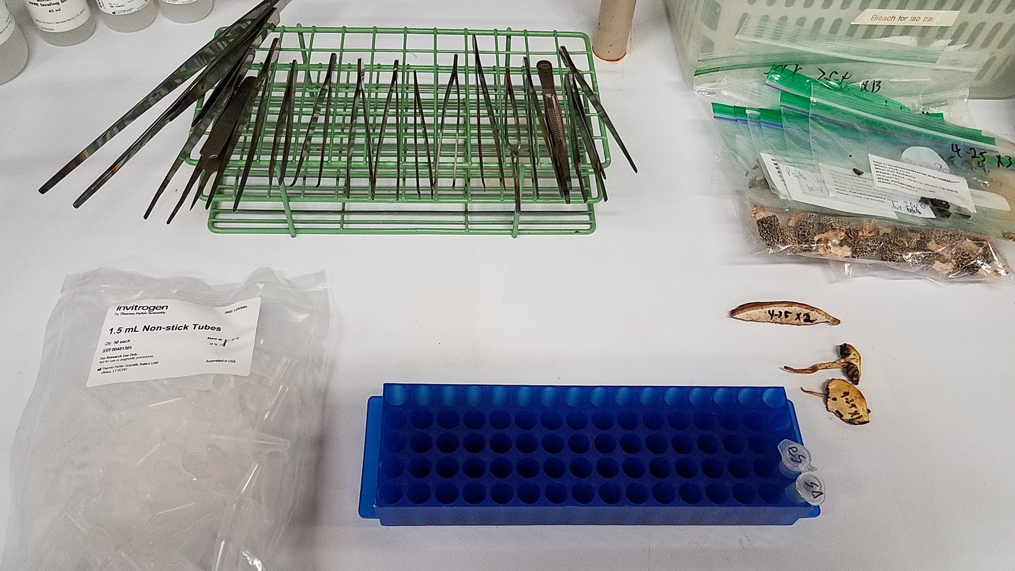 Alan - Sterilized forceps are laid out on a test tube holder. Once I ...