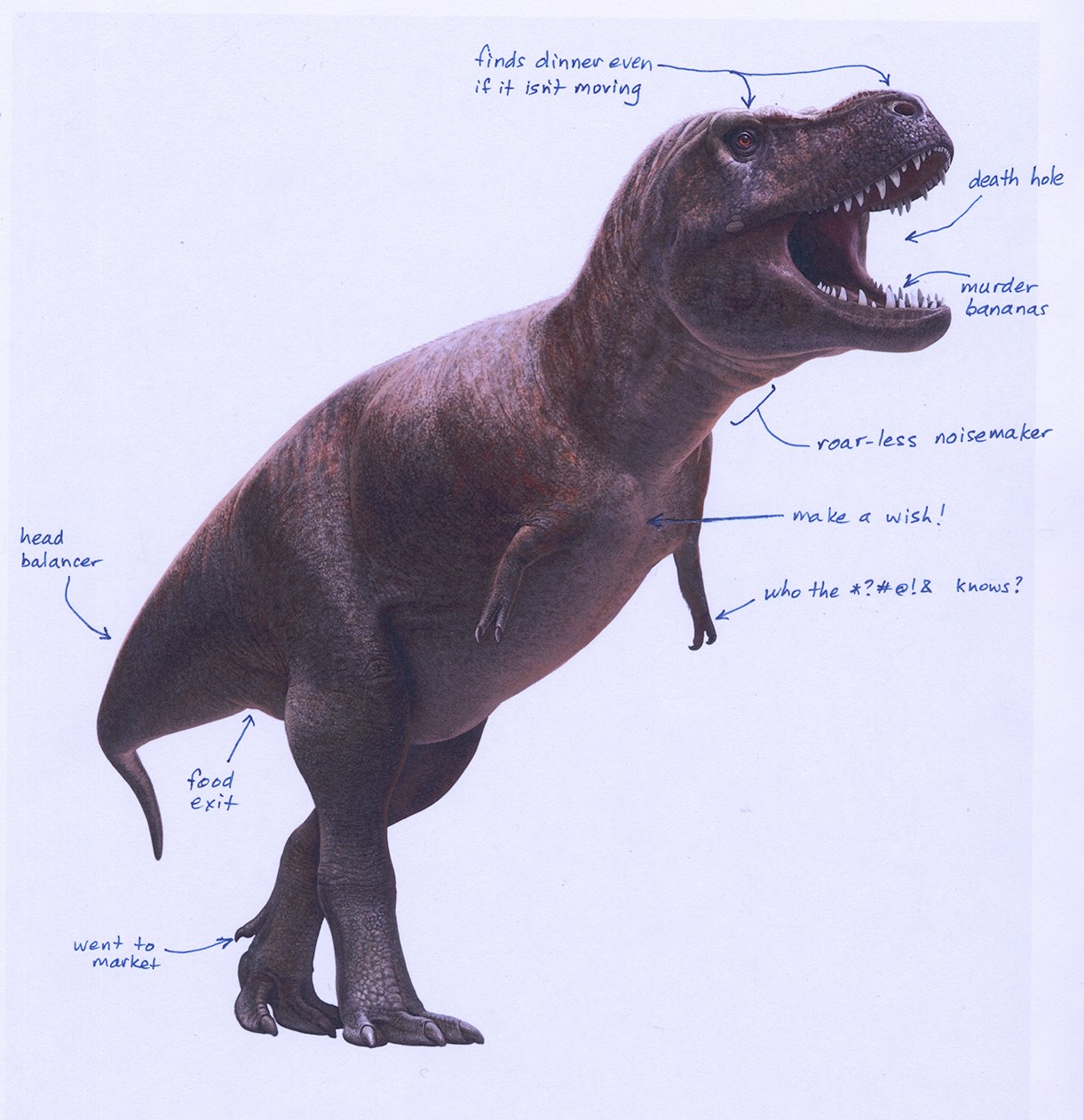 Our... - Smithsonian National Museum of Natural History | Facebook