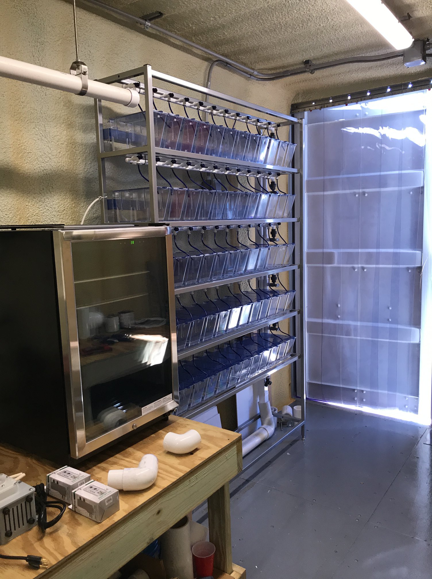 Job opportunity in... - Auburn University Shellfish Lab | Facebook