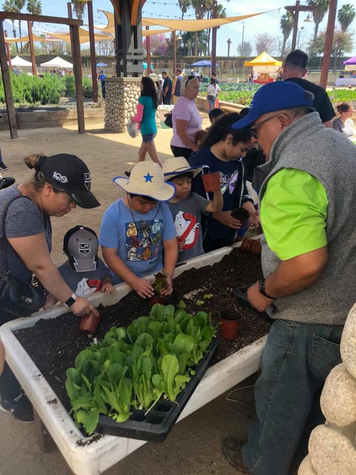 Fairplex - Beautiful, fun day at Spring in The Farm! 🌞🌿
