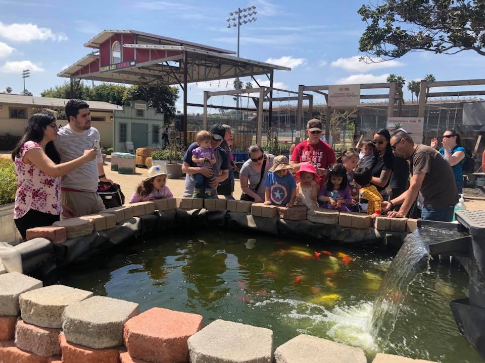 Fairplex - Beautiful, fun day at Spring in The Farm! 🌞🌿