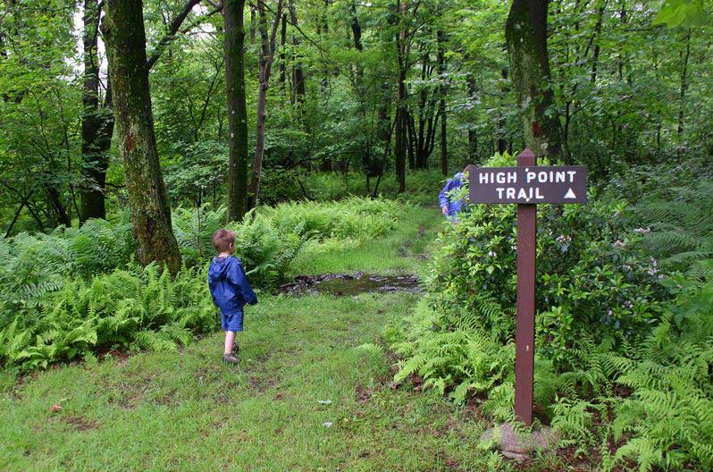 Check us out! See why visitPA named... - GO Laurel Highlands