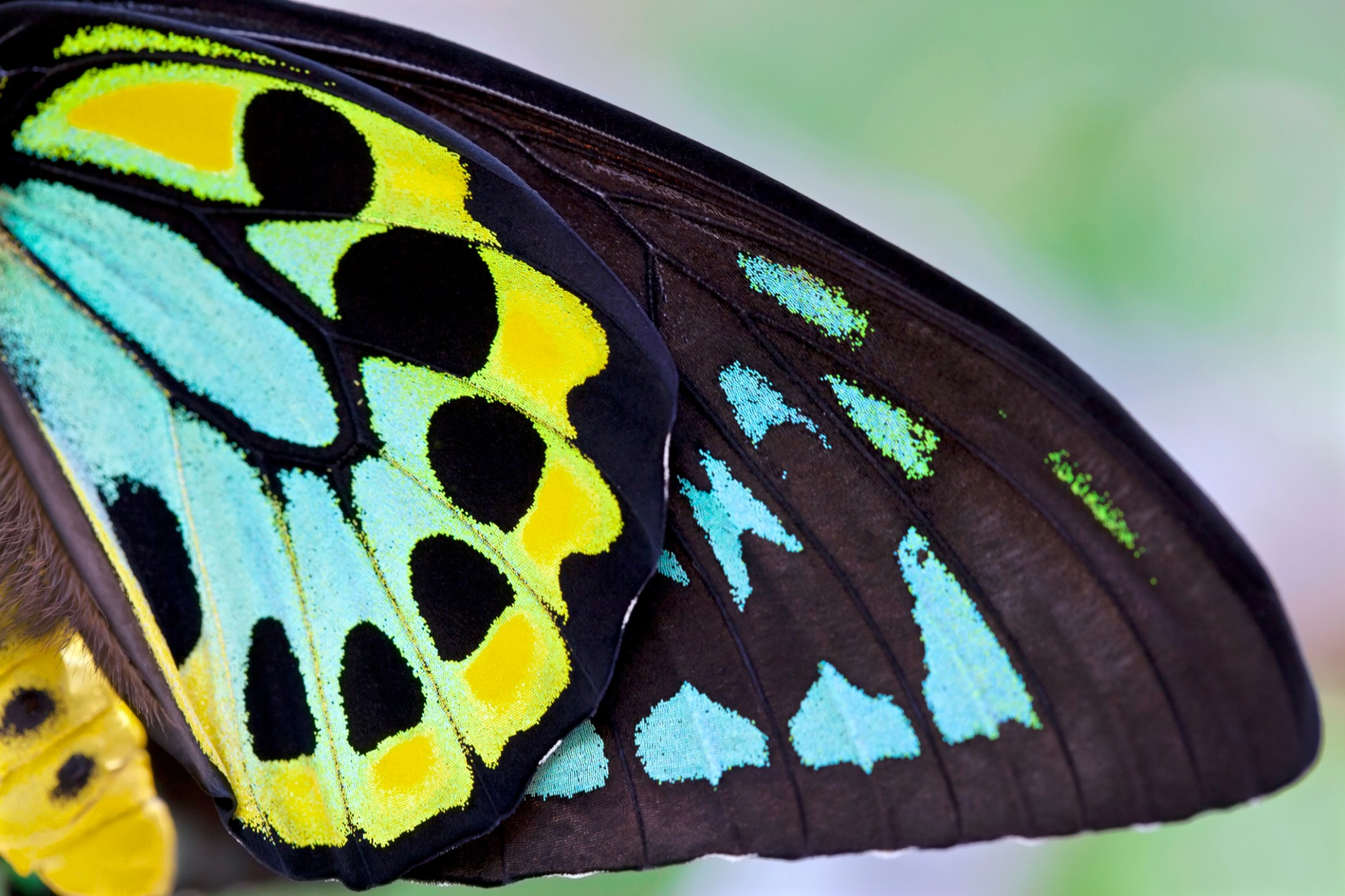 Butterfly Pavilion Home Facebook